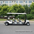 Electric Golf Buggy 6 Seater Ce Approved Trojan Battery